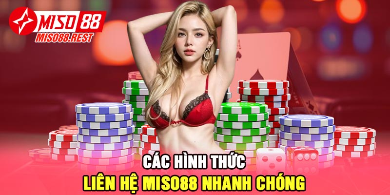 Các hình thức liên hệ Miso88 nhanh chóng