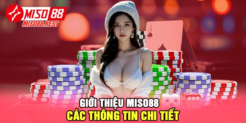 Giới thiệu Miso88 – Các thông tin chi tiết