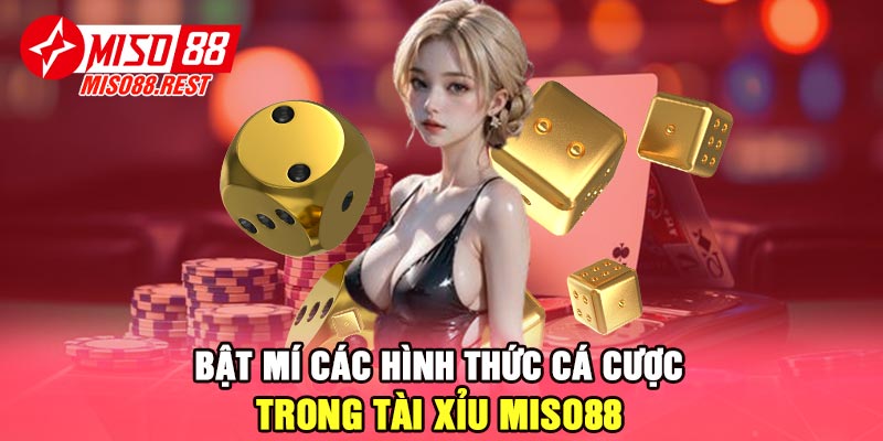 Bật mí các hình thức cá cược trong tài xỉu Miso88