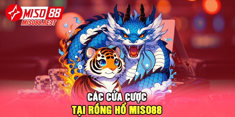 Các cửa cược tại Rồng Hổ Miso88