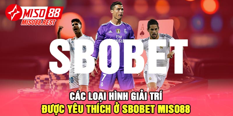 Các loại hình giải trí được yêu thích ở SBOBET Miso88