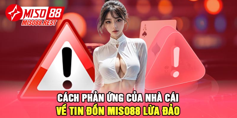 Cách phản ứng của nhà cái về tin đồn Miso88 lừa đảo