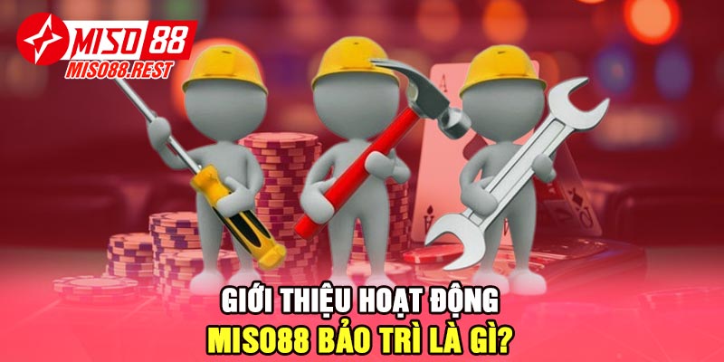 Giới thiệu hoạt động Miso88 bảo trì là gì?