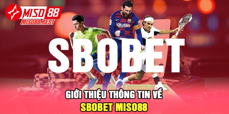 Giới thiệu thông tin về SBOBET Miso88