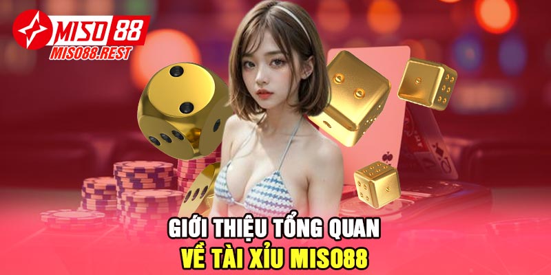 Giới thiệu tổng quan về tài xỉu Miso88