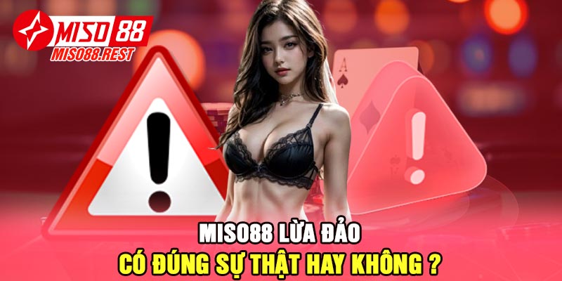 Miso88 lừa đảo - Có đúng sự thật hay không ?