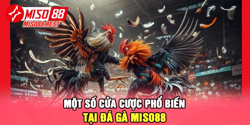 Một số cửa cược phổ biến tại đá gà Miso88