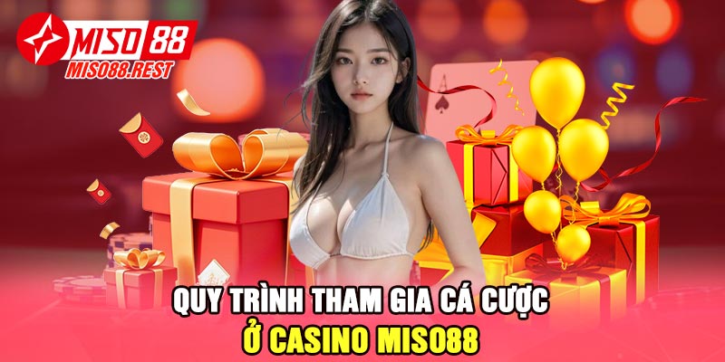 Quy trình tham gia cá cược ở casino Miso88