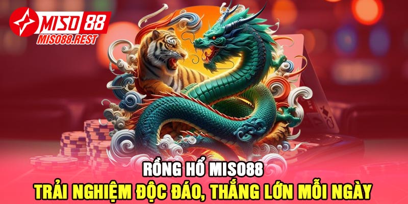 Rồng Hổ Miso88 - Trải nghiệm độc đáo, thắng lớn mỗi ngày