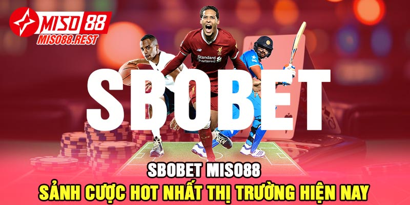 SBOBET Miso88 - Sảnh cược hot nhất thị trường hiện nay