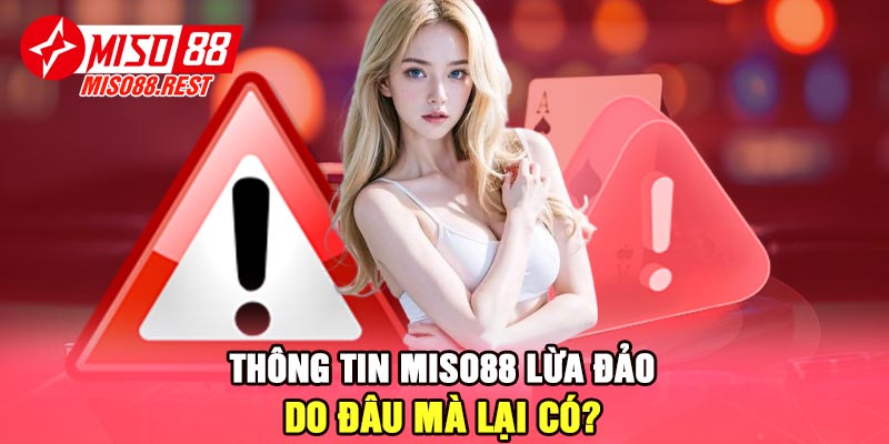 Thông tin Miso88 lừa đảo do đâu mà lại có?